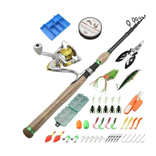 Équipement de pêche complet avec canne à lancer rétractable et roue rotative en carbone