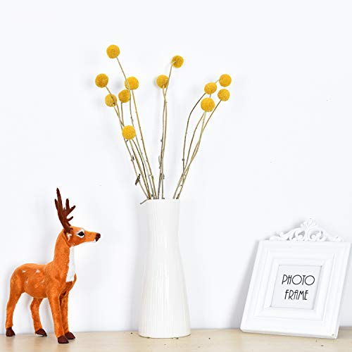 Yoken 50 Stems Craspedia Flowers Natural Dried Flowers for Arrangements Hried Bundle for Photo Props, Home Decor