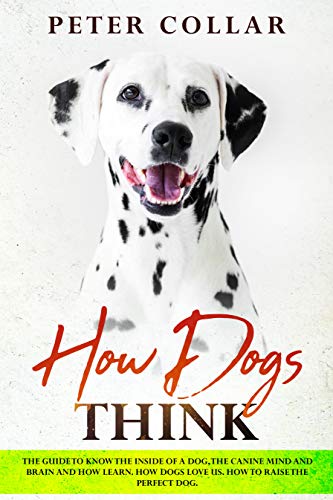 How Dogs Think The Guide To Know The Inside Of A Dog The Canine Mind And Brain And How Learn How Dogs Love Us How To Raise The Perfect Dog Collar