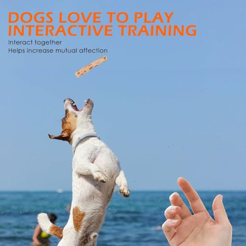 Hundekauspielzeug aus Holz, Kaffee-Holz, Hundekaustab für regelmäßiges Kauen, 100% natürliches Spielzeug sicher, Hundezahnreinigung & Stressabbau, Bio-Spielzeug geeignet für große Hunde und Welpen bis
