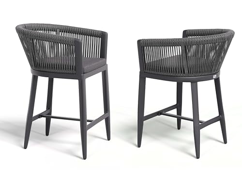 Image of PURPLE LEAF Counter Height Bar Stools Rattan Set of 2 with Cushion, Gray