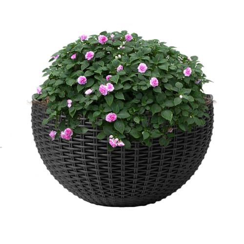 Maceta para pared sin espacio en el suelo: contenedor vertical con ganchos para patios 2