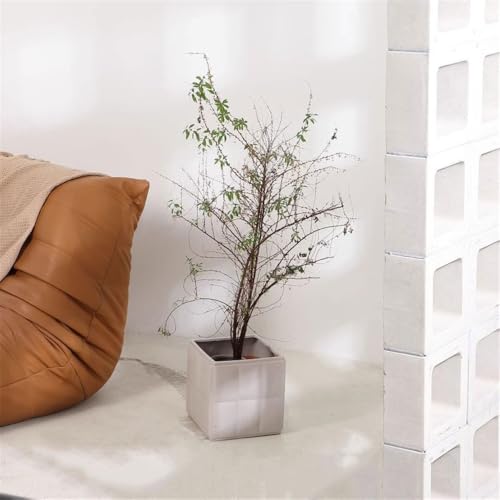 Pot de fleur résistant gris clair en terre cuite pour table de balcon - 7