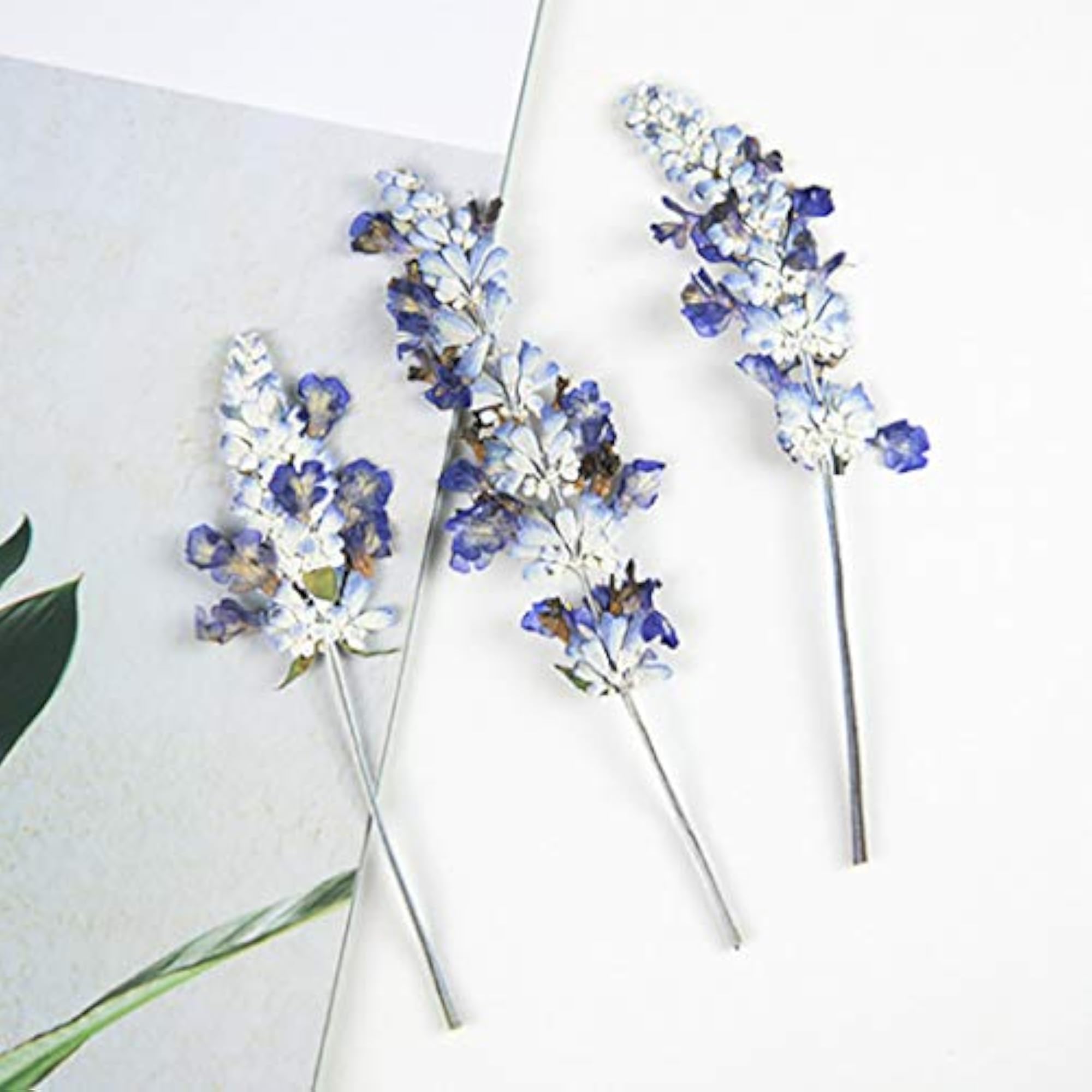 Dried Flower Multipurpose Creative DIY Funny Supplies Pressed Flower