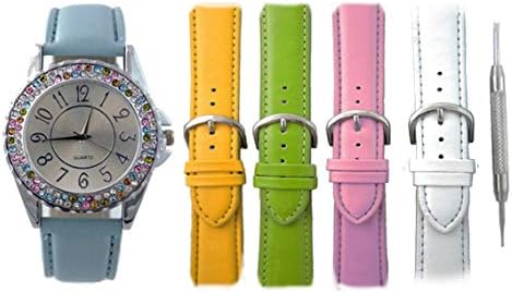 watch with interchangeable bands