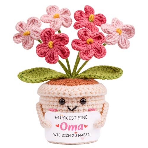 Lokideer Geschenk Oma, Geh&auml;kelte Blume im Topf Handgemacht, K&uuml;nstliche Strickblume Deko mit Spruch, Geschenk f&uuml;r Geburtstag Geburtstagsgeschenk f&uuml;r Oma, Geschenk f&uuml;r Frauen, B&uuml;ro Deko