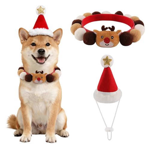 IRRVIN 2Zbg NX}X  L RXv  Xq ӂӂ RR ybg ϐg   ʔ p^[ {[^ ߉\ ʐ^Be NX}Xp[eB RXv (bh-A)