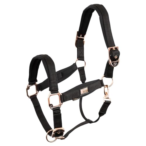 Licol BR Rose Gold idéal pour les séances de pansage et le transport