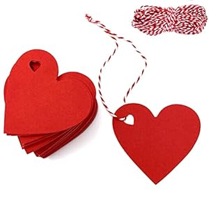 Wangyun 100 Stück Herz Geschenkanhänger mit Schnur