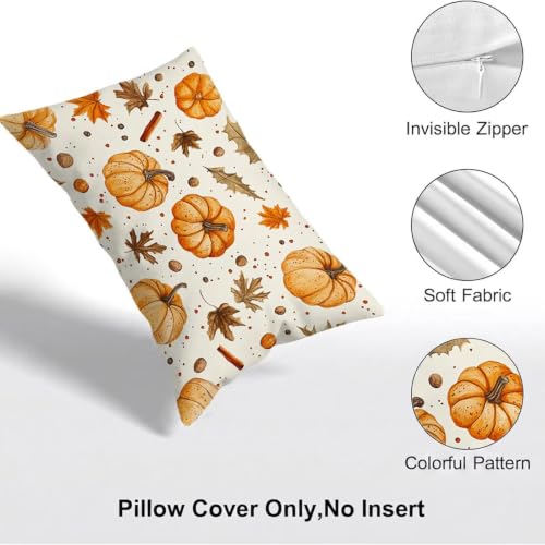 Housse de coussin 60x80 imperméable pour canapé et extérieur lot de 2