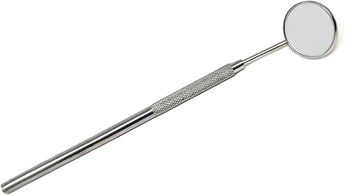 Miniatura 11 de Herramienta profesional de raspador de sarro dental, púas orales para eliminar el cálculo de los dientes, removedor de placa, raspador de dientes