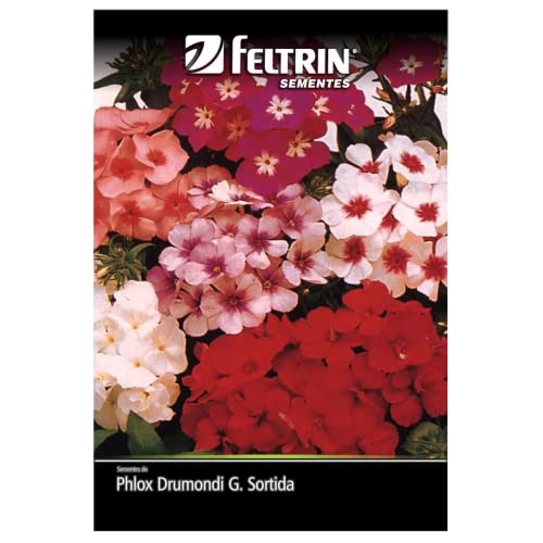 Sementes de Flores (Phlox, Bela da Noite, Amor Perfeito MIni, Boca de Leão)