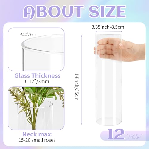 Vases cylindriques en verre transparent pour centres de table de fête - 3