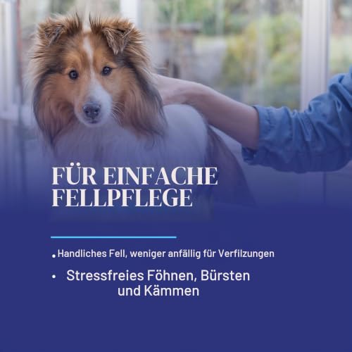 Chris Christensen Ice On Ice Conditioner - Entwirrung und Glanz für das Haar | Professionelle Haarpflege, 473ml