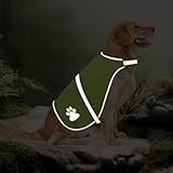 Warnweste für Hunde, Abeillo Pet Hunde Warnwesten, Hund Sicherheit Reflektierende Weste, Verstellbar Hundejacke für Outdoor Aktivitäten Spaziergänge im Dunkeln (Helle Grün)