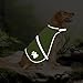 Warnweste für Hunde, Abeillo Pet Hunde Warnwesten, Hund Sicherheit Reflektierende Weste, Verstellbar Hundejacke für Outdoor Aktivitäten Spaziergänge im Dunkeln (Helle Grün)