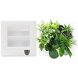 blumentopf halterung wand 【SICHER/LANGLDEBIG】: Blumentöpfe Wand besteht aus brandneuem ABS-Material, mit hoher Festigkeit, ohne Geruch, Guter Zähigkeit und nicht gebrochen. Behalten Sie es zu Hause, ohne sich Sorgen machen zu müssen, dass Ihre Familie durch einen Sturz verletzt wird.
