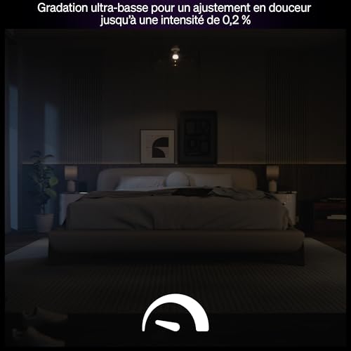 Philips Hue Ampoule LED connectée A60, White and color, Culot E27, 8,1 W, Spectre complet 1000-2000 K, 1100 lumens, Intensité variable, Compatible avec Alexa, Google Assistant et Apple Home, pack de 2