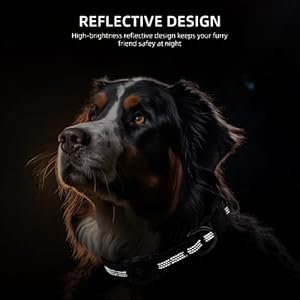 Upgraded Airtag Dog Collar Ip68 Waterproof Air Tag Dog Collar Holder Reflective Ultradurable Comfortable Padded Heavy Duty Dog Collars for Small Medium Large Dogs s 106136 Black  Cucciolini Doodles Upgraded airtag dog collar ip68 waterproof air tag dog collar holder reflective ultra durable comfortable padded heavy duty dog collars for small medium large dogs s 10 6 13 6 black   cucciolini doodles