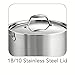 Tramontina Signature Tri-Ply Clad Stainless Steel 6-Quart Sauce Pot with Lid, Induction-Ready Pot, Dishwasher-Safe, NSF-Certified, Made in Brazil