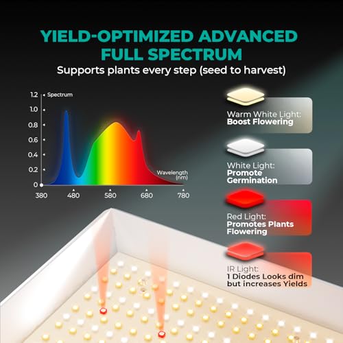 Amazon.com: MARSHYDRO: LED GROW LIGHT