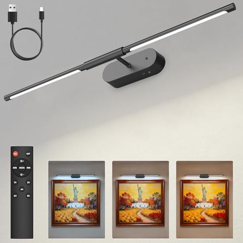 Image of Glendan 24 inch Brighter Picture Lights for Wall, Wireless Art Light