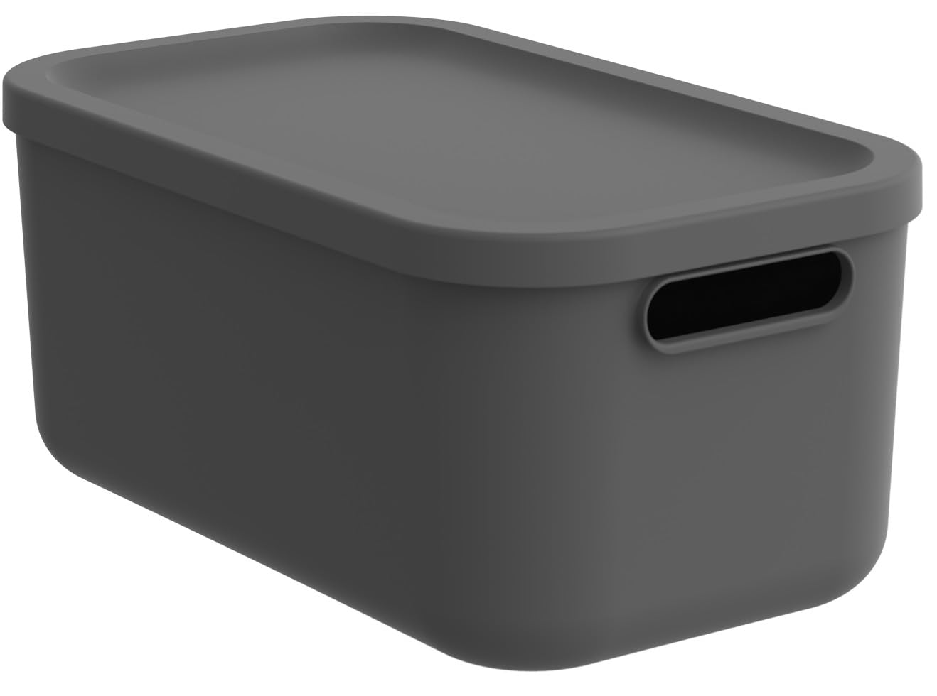 Boîte de rangement Rotho Albula 12 l avec couvercle plastique anthracite