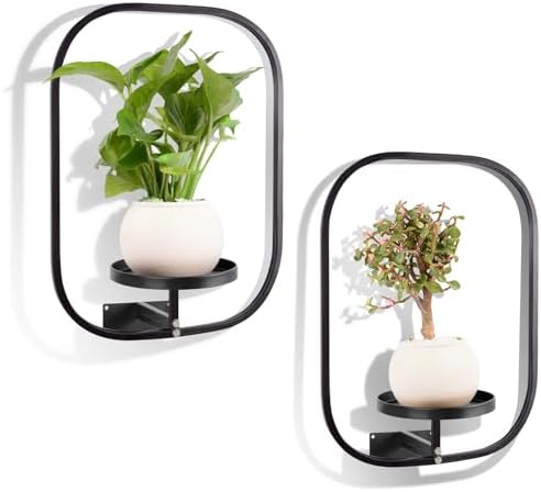 2 Pack Wall Plant Holder, Wall Planters for Indoor Plants, Premiu...