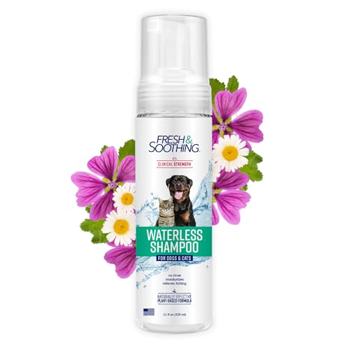 Fresh & Soothing Natural Waterless Foaming Shampoo, 11oz