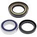 DB Electrical 25-1123 Rear Wheel Bearing Kit