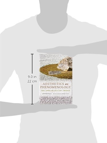 Aesthetics as Phenomenology: The Appearance of Things (Studies in Continental Thought) - Image 3