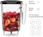 Blendtec WildSide (90 oz volume/36 oz Wet/Dry Fillable) -Five Sided-Professional-Grade Blender Jar-Vented Latching Lid-BPA-Free-Clear, 90 fl Ounces