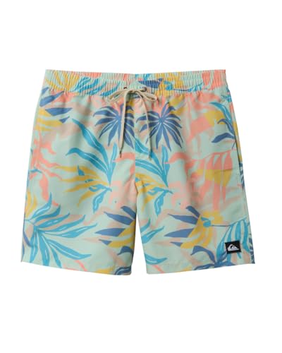 Quiksilver - Mens Everyday Mix Volley 17 Nb Shorts