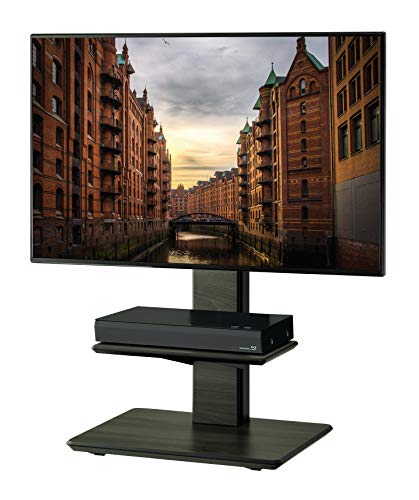 ハヤミ工産 TIMEZ 自立スタンド ～43V型対応 高さ調節可能 キャスター付 ブラック KF-930