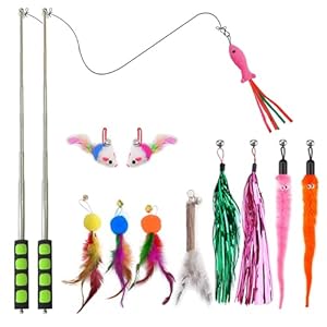 2pcs Retractable Cat Wand Toys,Cat Fishing Rod with 11pcs Cat Feather Toys Refills,Cat Toys Wand for Indoor Or Outdoor Cats.