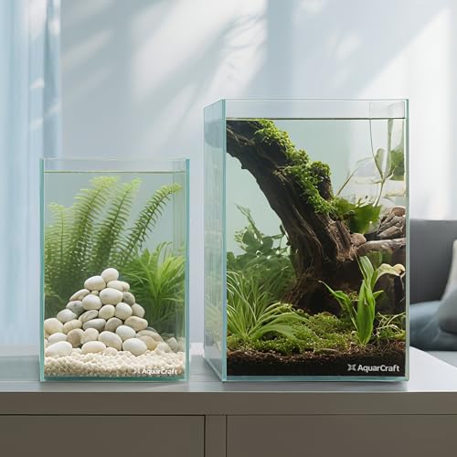 Image of 5.6 Gallon Rimless Aquarium, Tall Low Iron Glass Fish Tank | Ultra clear 6mm glass, 10 x 10 x 14.2 in vertical design for aquascaping, betta fish, shrimp tanks and planted setups