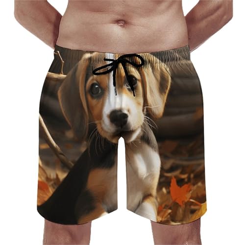 Men's Swim Trunks Quick Dry Board Shorts with Pockets Beach Shorts Cute Beagle Bathing Suits for Men