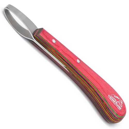 J2 Stainless Steel Loop Hoof Knife