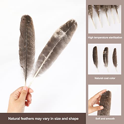 Outuxed 15Pcs Natural Turkey Feathers For Crafts, 10-12 Inches Large Feathers For Hat Floral Diy Home Wedding Party Decoration Collection #TOP2