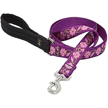 LupinePet Originals 1" Rose Garden 6-Foot Padded Handle Leash for Medium and Larger Dogs