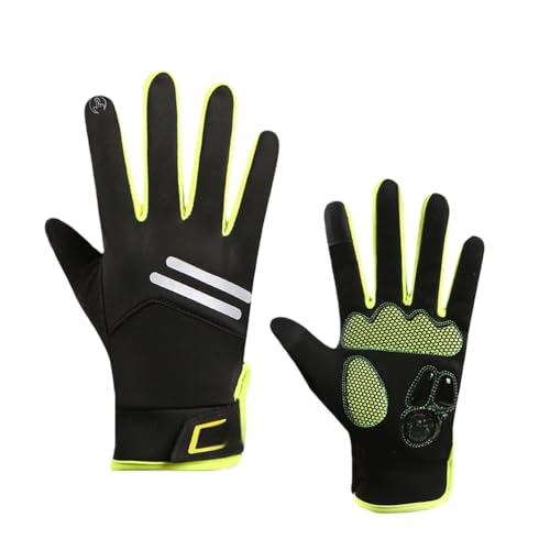 [EVREFIN] ~pAEghA܁At[XnAgAhAjOATCNOAX|[cAHizBABAwATCNO܁At̃SAwA˃XgbvɓKĂ܂B (O[)