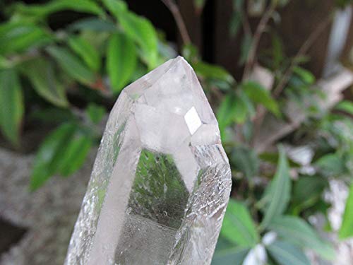 Amazon.co.jp: モンドクォーツ タンザニア産水晶原石の通販/販売 |【鬮