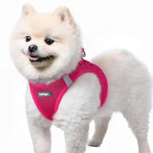 rabbitgoo Small Dog Harness, Step-in Soft Mesh Puppy Vest with Safety Buckle, Breathable Reflective Pet Harness for Small Sized Dogs, Rose Red S
