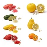 35 Graines Agrumes Gourmet, 20 Citron Caviar Mix couleur (5 Rose, 5 Blanc, 5 Rouge, 5 Jaune) + 5 Yuzu + 5 Citron Poire + 5 Kumquat