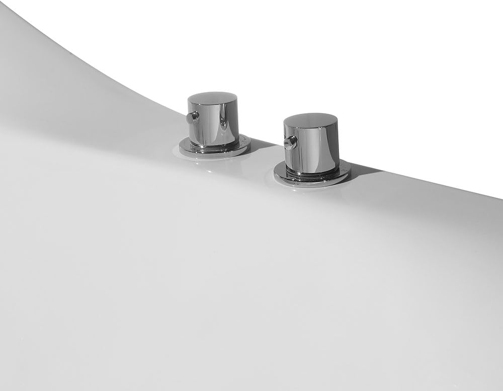 Close-up of the ARIEL bathtub control panel and handheld showerhead