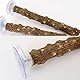 Hayaww 2 pcs Holz Vogelstange mit Saugnapf Sitzstangenständer Vogelstangenständer Sitzstangen Vögel Ständer mit Saugnapf für Fenster Papageiensitzleiter Holz Stepped Für Wohnzimmer Auto (A, M)