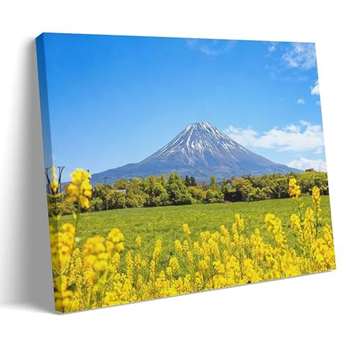 xmR G xmR̕i R i |X^[ Ǌ| Ǐ xmR̐i  ǊG C] A[gpl _ ւɏ _   (2)08x12inch(20x30cm)