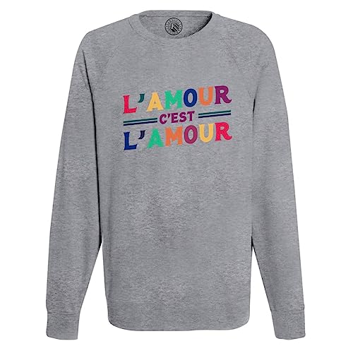 Sweat Homme LGBTQ+ Gay Lesbien Idéal pour la Marche des Fiertés