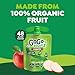 GoGo squeeZ Organic Applesauce and Fruit Puree, Apple Apple, 3.2 oz (Pack of 48), Unsweetened Organic Fruit Snacks for Kids, Gluten Free, Nut Free and Dairy Free, Recloseable Cap, BPA Free Pouches