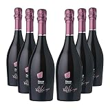 Val Longa Prosecco DOC Spumante Extra Dry - Vendemmia a Mano - Alta Qualità - 6 Bottiglie da 75cl - Vino Bianco